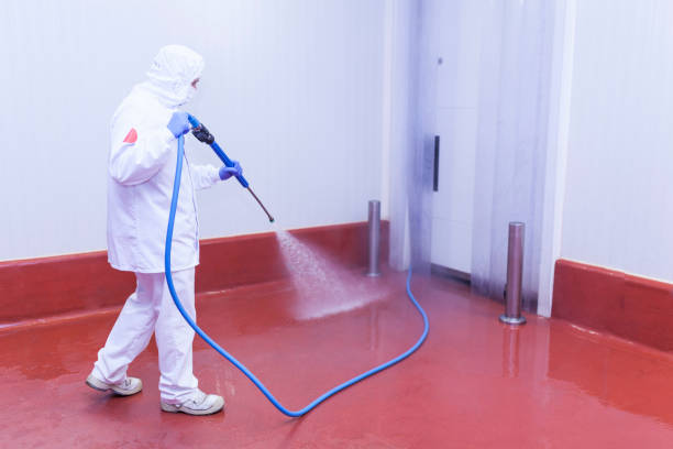 Spring Cleaning in Pleasant Grove, OH